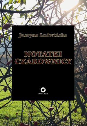 Okładka książki Notatki czarownicy