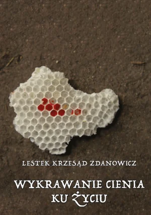 Okładka książki Wykrawanie cienia ku życiu